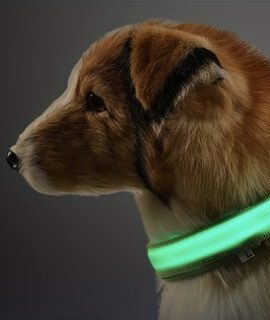 Honden Halsband Die Licht Geeft In Het Donker, Inclusief 2 Knoopcel Batterijen