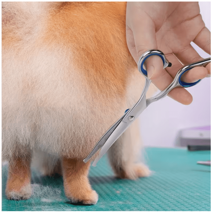 Gebogen veiligheidsschaar met ronde punt voor honden en katten, roestvrij staal - Afbeelding 5
