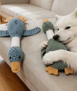 Duurzaam gans hondenspeeltje, voor alle hondensoorten